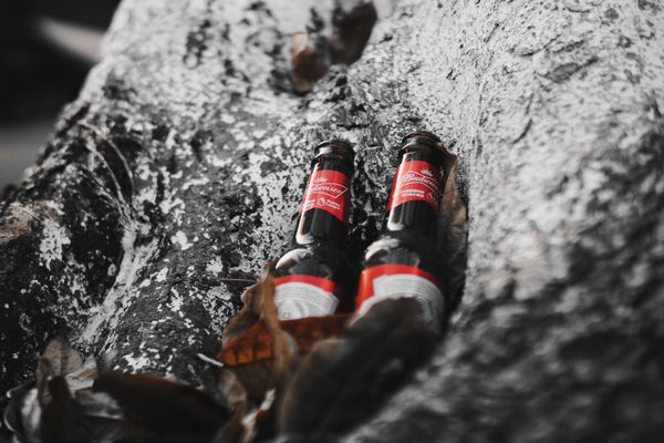 Budweiser APAC: Twin growth engines from China and India