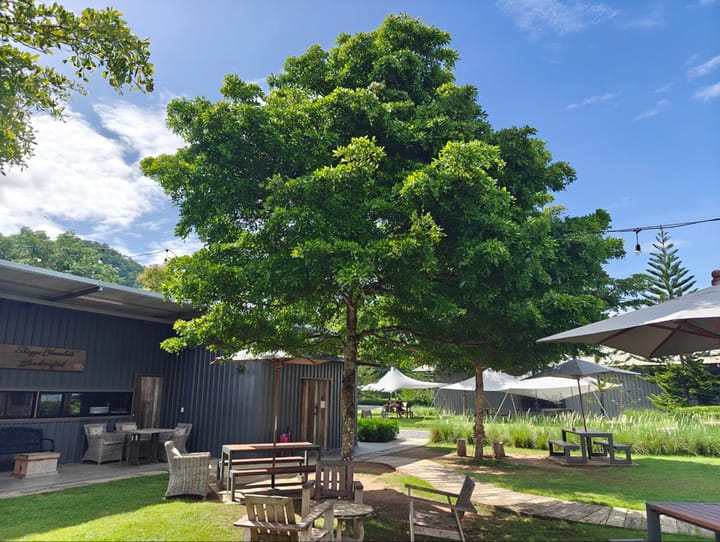 Trip review of Chiang Mai: Slow living surrounded by mountains